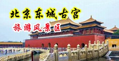 小帅哥按摩偷拍视频中国北京-东城古宫旅游风景区